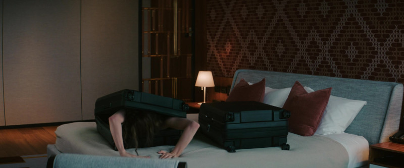 Samsonite 3